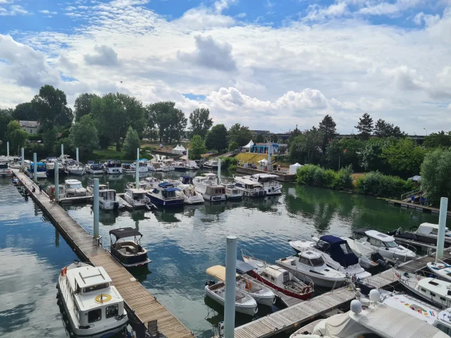 Fête du port