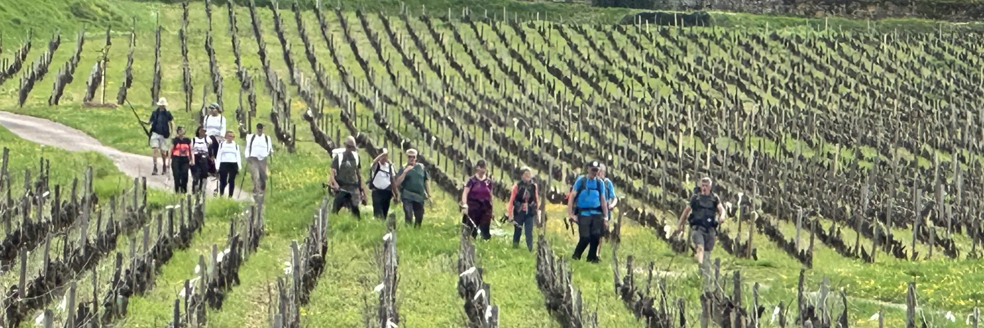 Randonnee Mercurey Groups 6