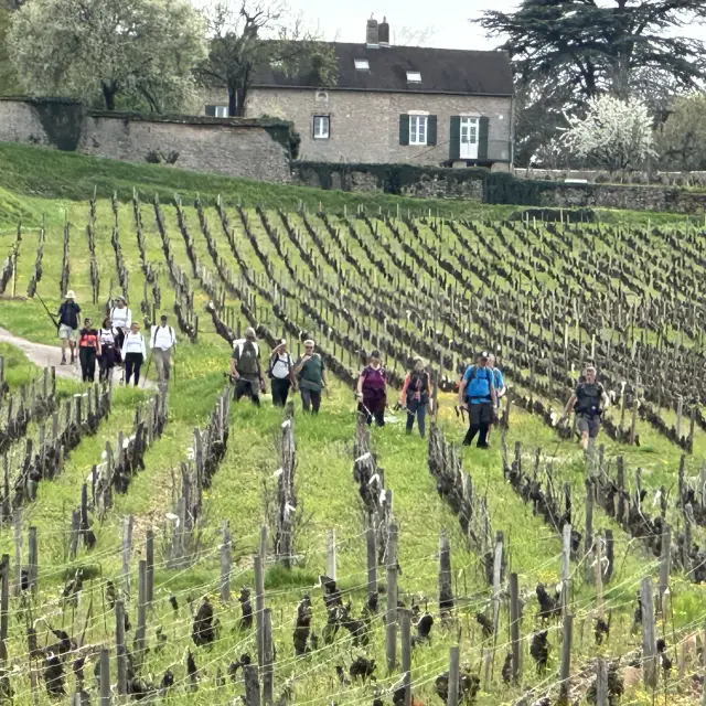 Randonnee Mercurey Groupes 6