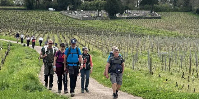 Randonnee Mercurey Groups 9