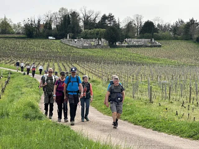 Randonnee Mercurey Groupes 9