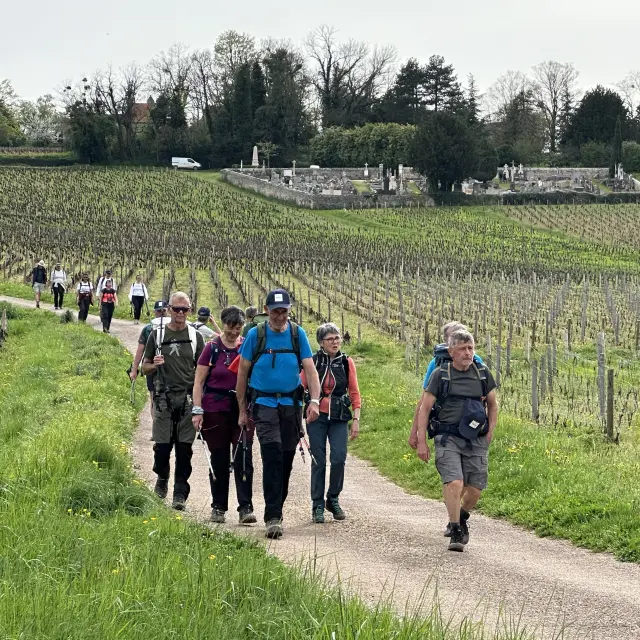 Randonnee Mercurey Groupes 9