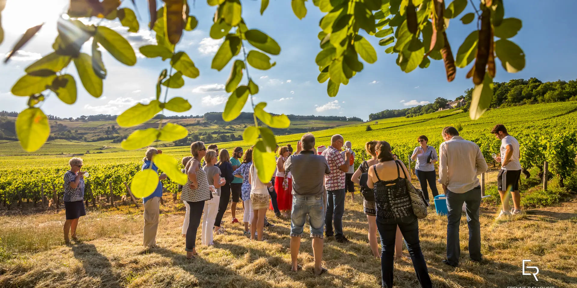 @Etienne Ramousse les Musicaves