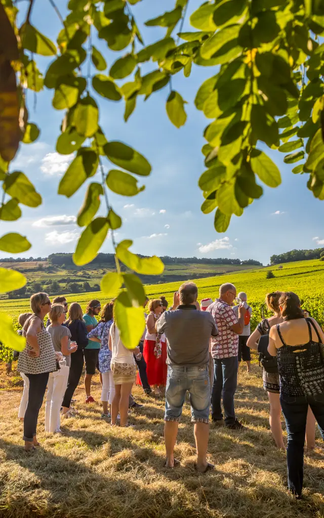 @Etienne Ramousse les Musicaves