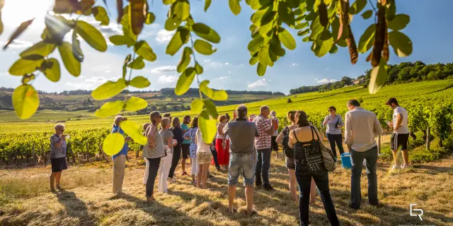 @Etienne Ramousse les Musicaves