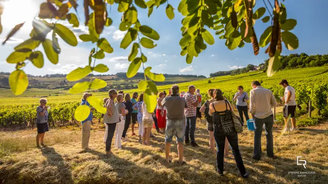 @Etienne Ramousse les Musicaves