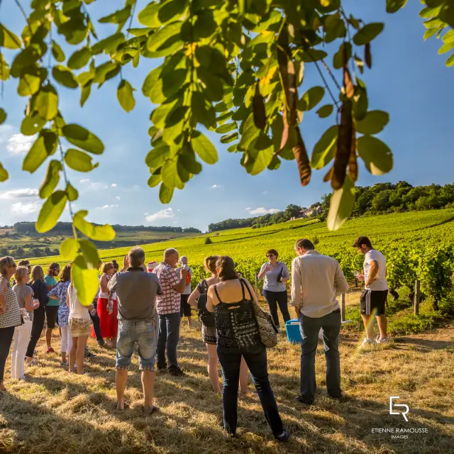 @Etienne Ramousse les Musicaves