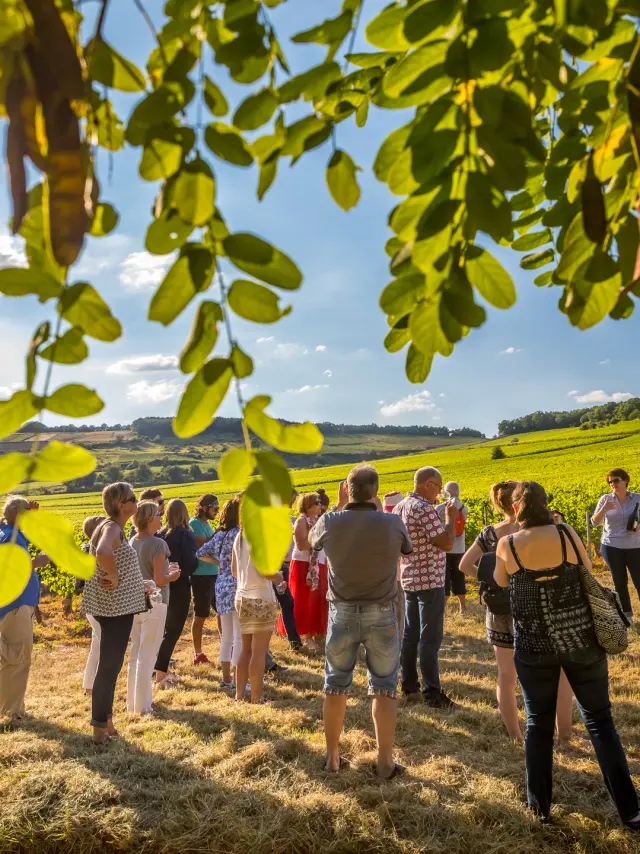 @Etienne Ramousse les Musicaves