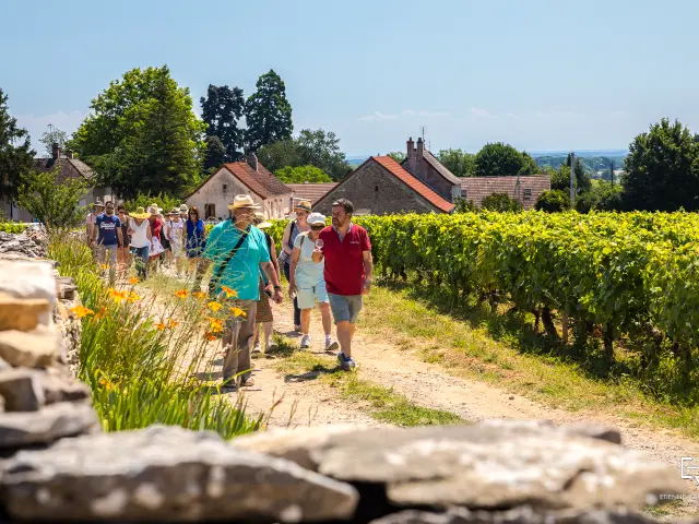 @Etienne Ramousse les Musicaves