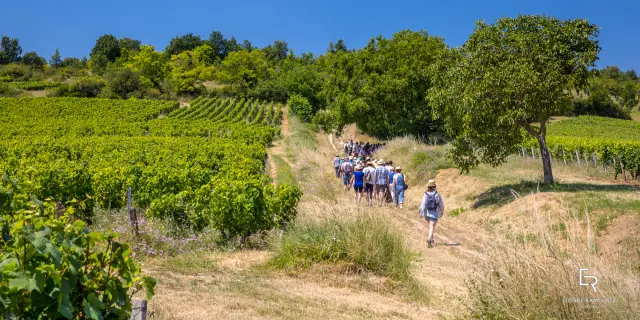 @Etienne Ramousse les Musicaves