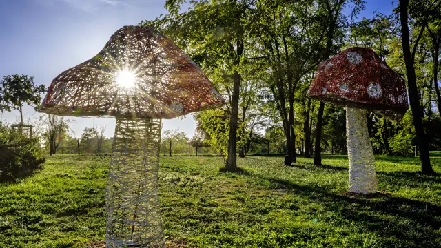 Nmessner Biodiversite 01 Min