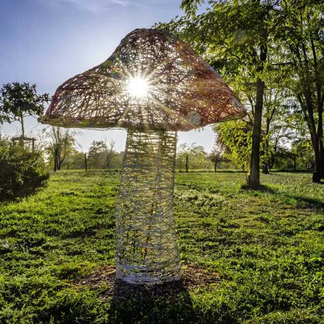 Nmessner Biodiversität 01 Min