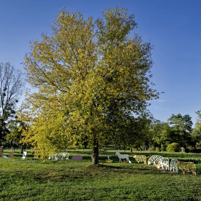 Nmessner Biodiversität 02 Min