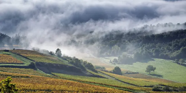 Nmessner Coteschalonnaises 10 Min
