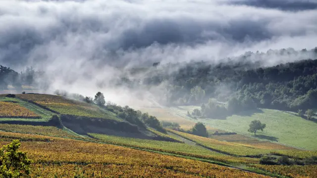 Nmessner Coteschalonnaises 10 Min
