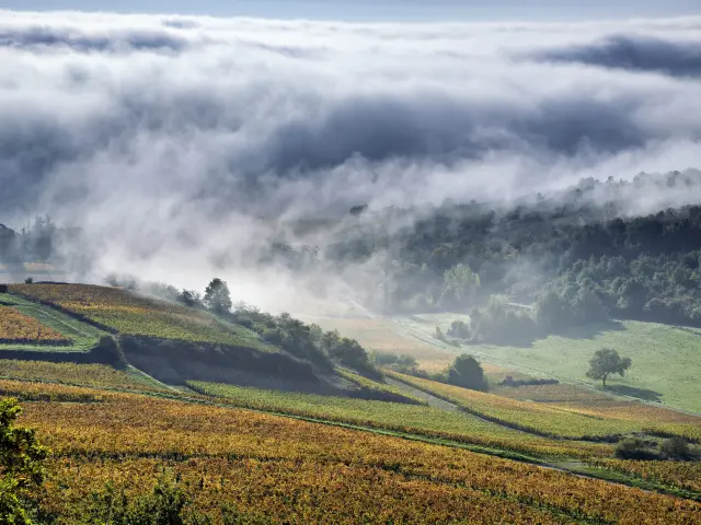 Nmessner Coteschalonnaises 10 Min