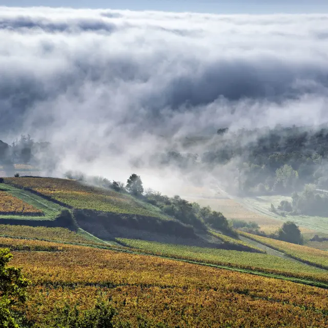 Nmessner Coteschalonnaises 10 Min