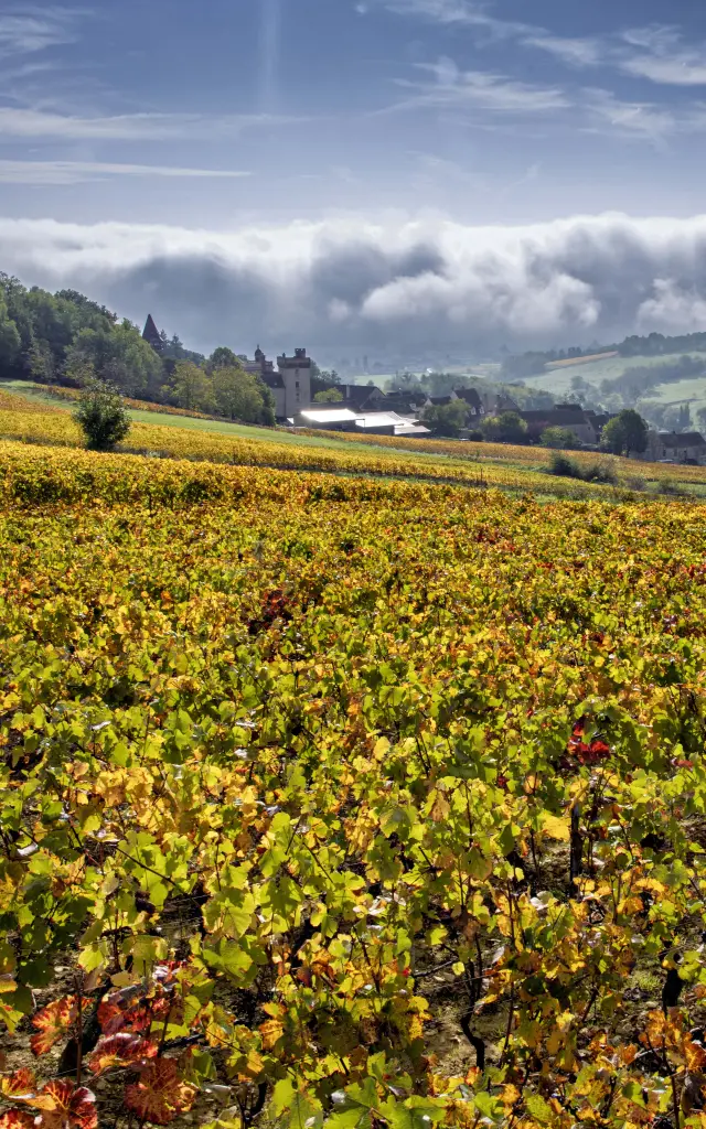 Nmessner Coteschalonnaises 11 Min