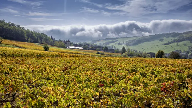 Nmessner Coteschalonnaises 11 Min