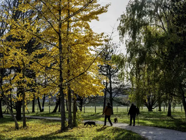 Nmessner Lac Presstjean 03 Min
