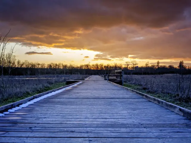 Nmessner Saint Marcel 01 Min