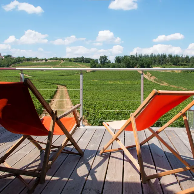Hébergement vue sur le vignoble
