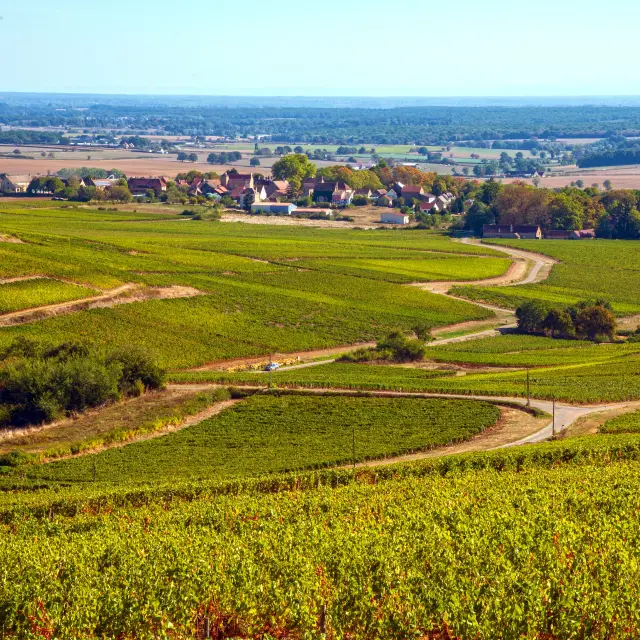 Alain Doire Bfc Tourisme Bfc 0018688 A4