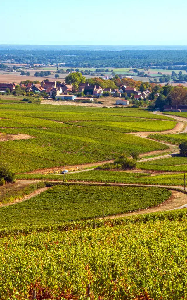 Alain Doire Bfc Tourisme Bfc 0018688 A4