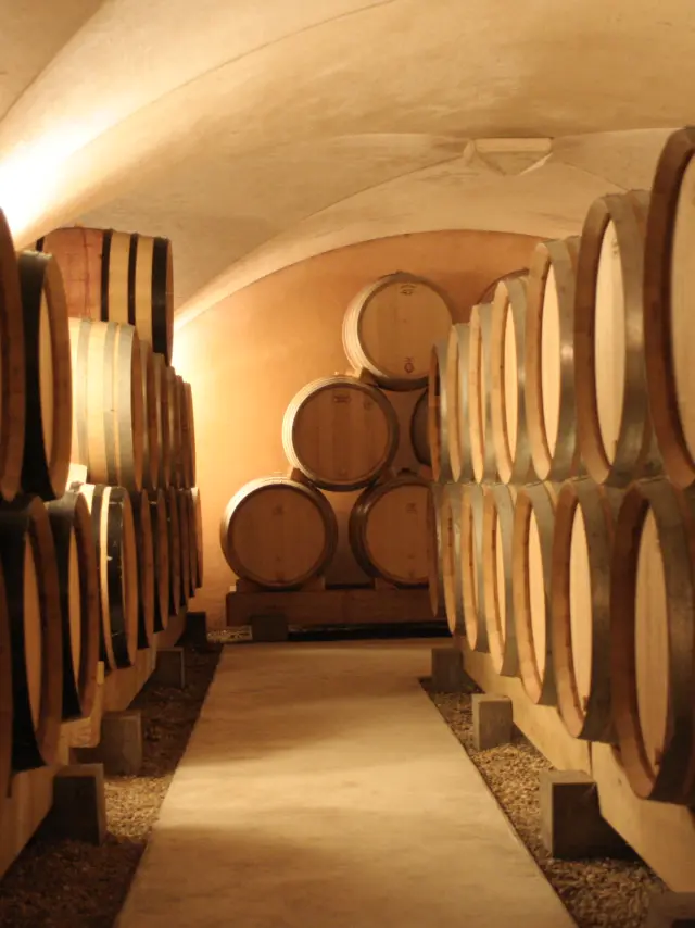 Domaine Ragot Cave 2003 Nr 3