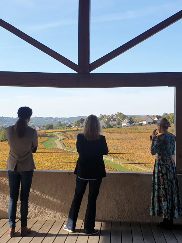 Degustation Chateau De Chamirey Group