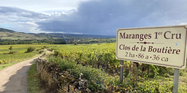 Maranges
