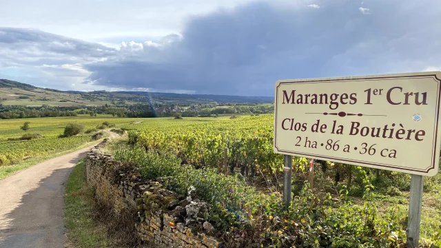 Maranges