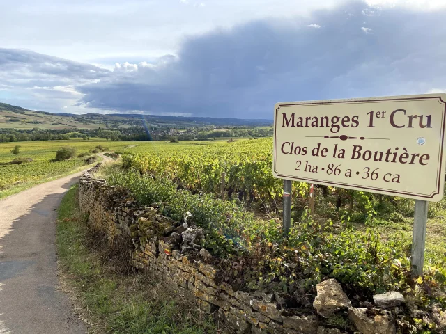 Maranges