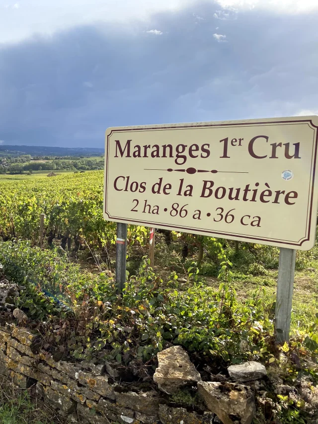Maranges
