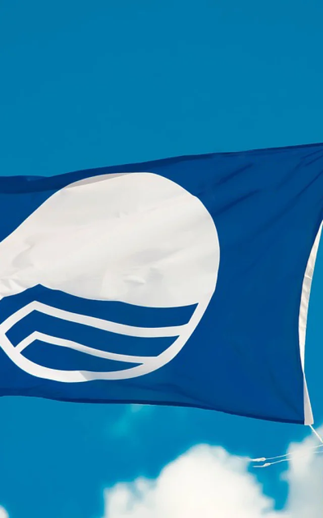 Blaue Flagge