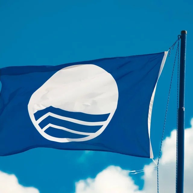 Blaue Flagge