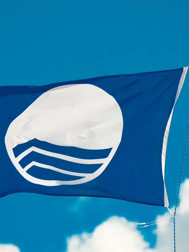 Blue Flag