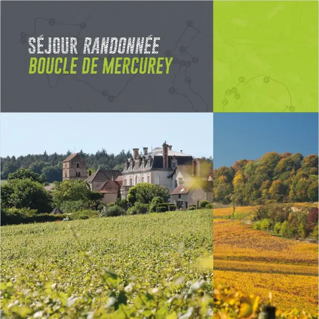 Ot Chalon Boucle Mercurey