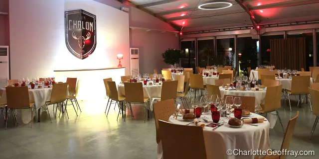 Pavillon Elch Mahlzeit