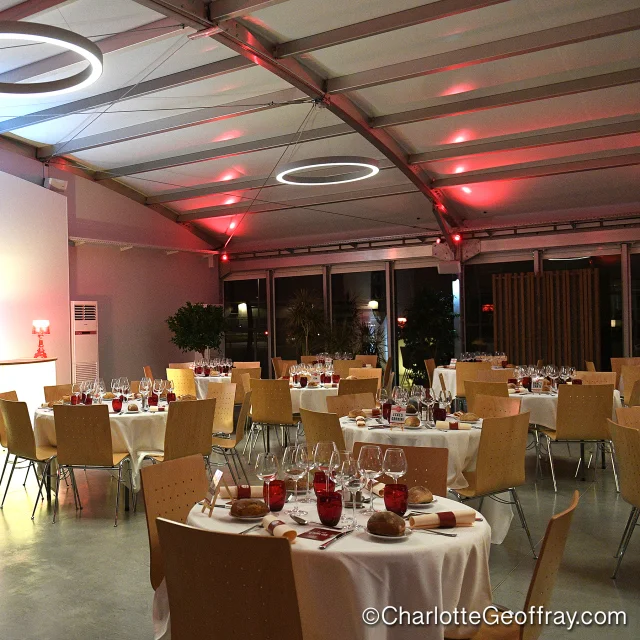 Pavillon Elch Mahlzeit