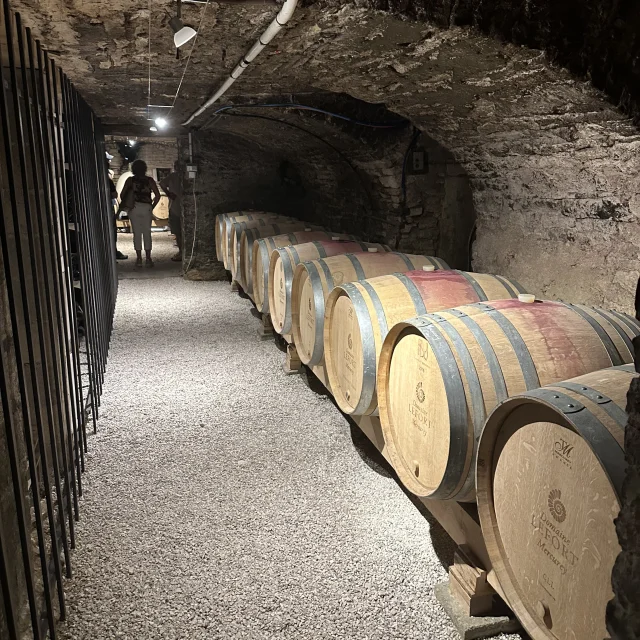 Degustation Vins Bourgogne Domaine Lefort Rully 5