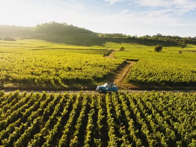 Véhicule Vintage dans les vignes