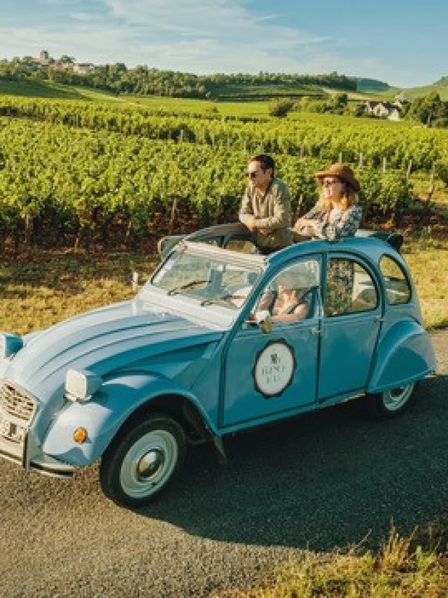 Vehicule Vintage 4 Credit Photo Agence Intuive 7