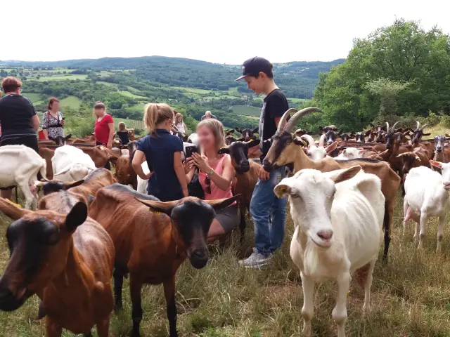 Russilly Animations Chevrerie 2017 Ot 2