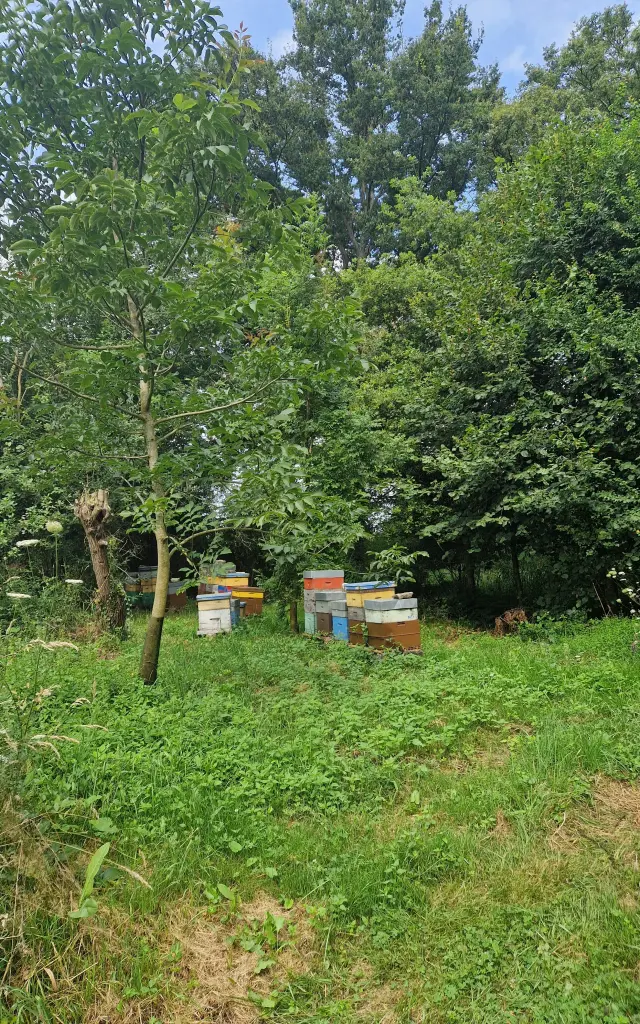 20240807 103222 Rotated