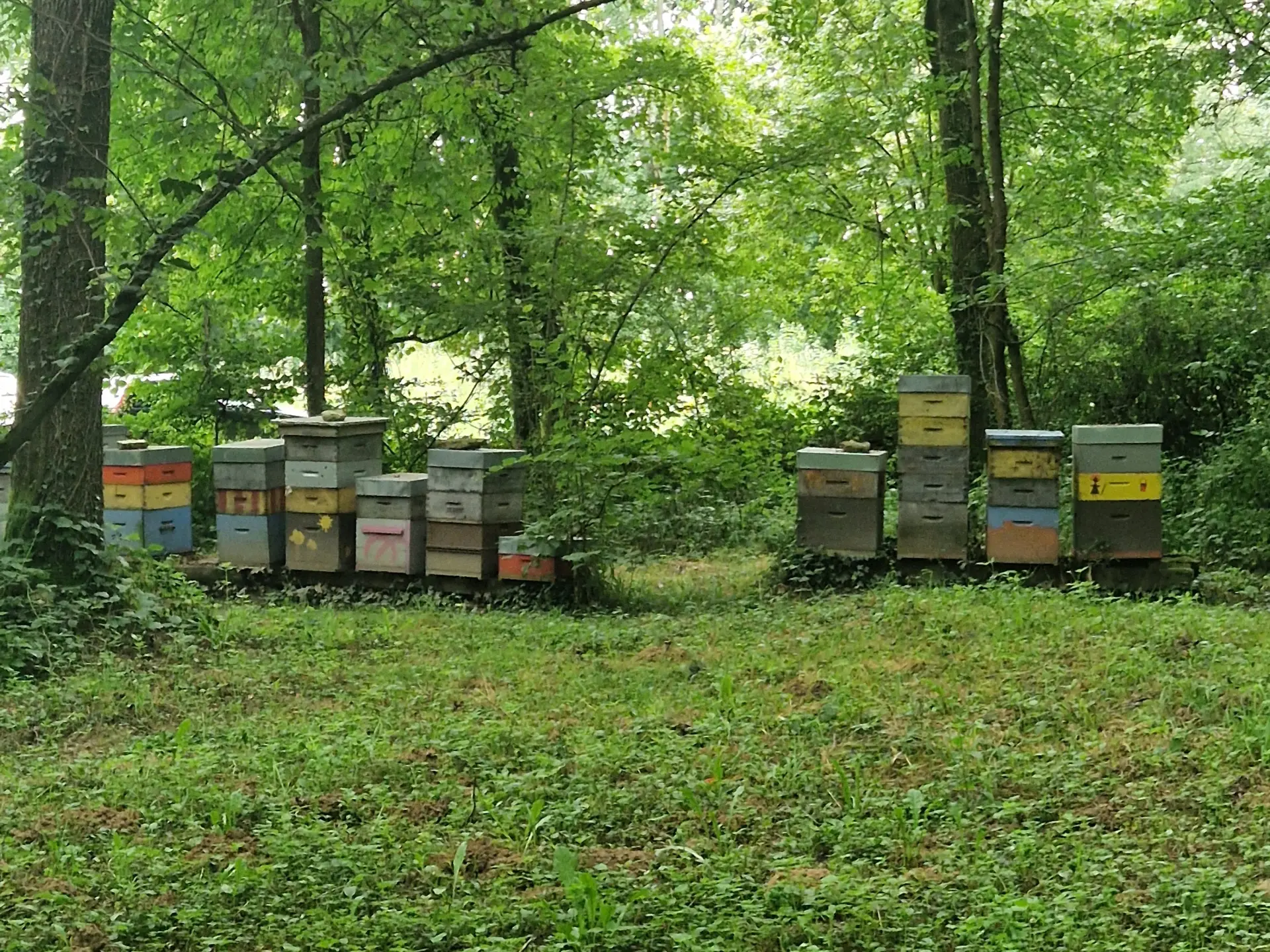 20240807 094925 Rotated