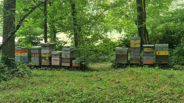 20240807 094925 Rotated