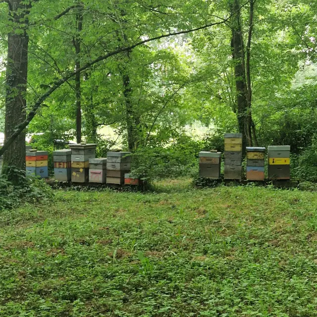 20240807 094925 Rotated