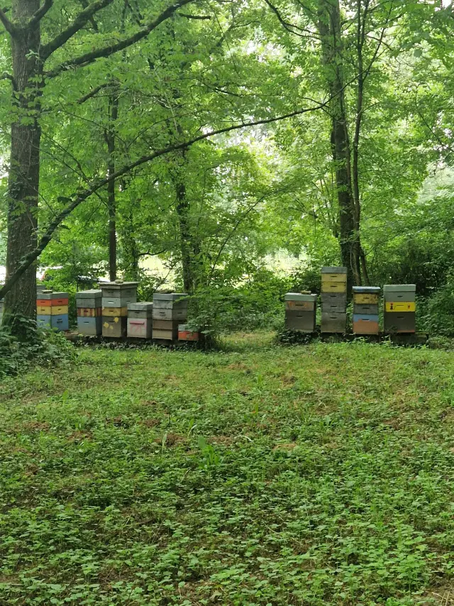 20240807 094925 Rotated