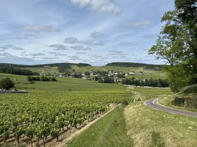 Mercurey Vignes Ot 4